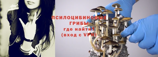spice Абдулино