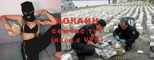 твердый Нягань