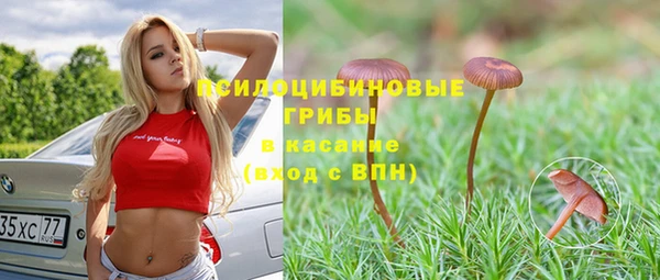 spice Абдулино